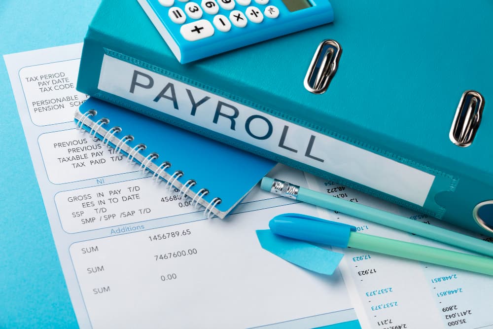 Painless Payroll Services